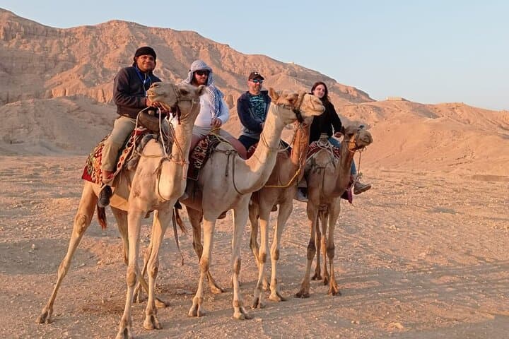 Camel Riding Tour in Luxor West Bank