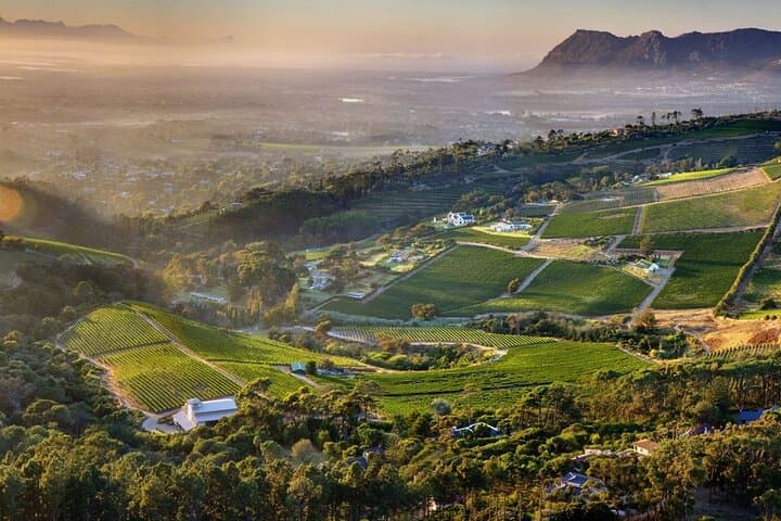 Wine Tasting in Constantia Region Cape Town