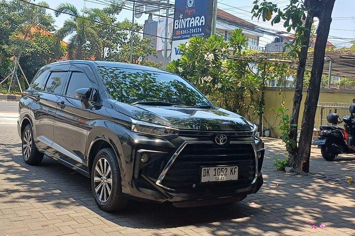 Ubud heldags privat tur