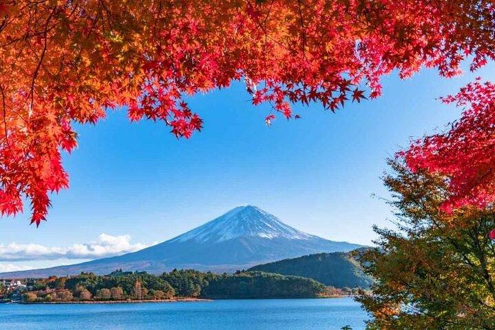 チャーター車で行く富士山日帰りツアー