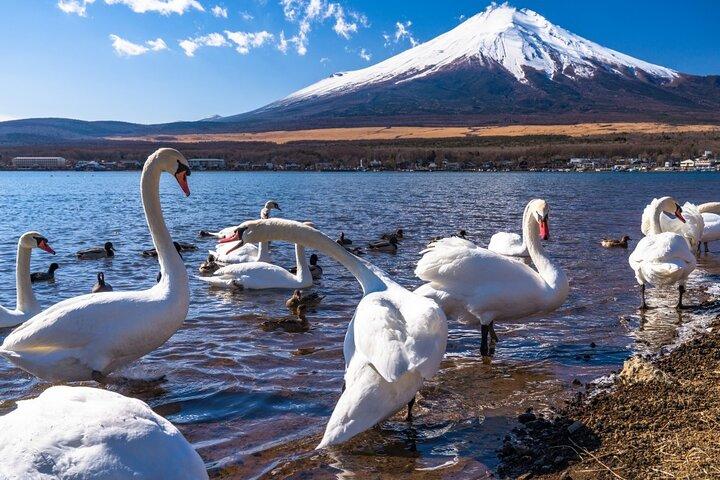 Mount Fuji Day Tour med chartrad bil