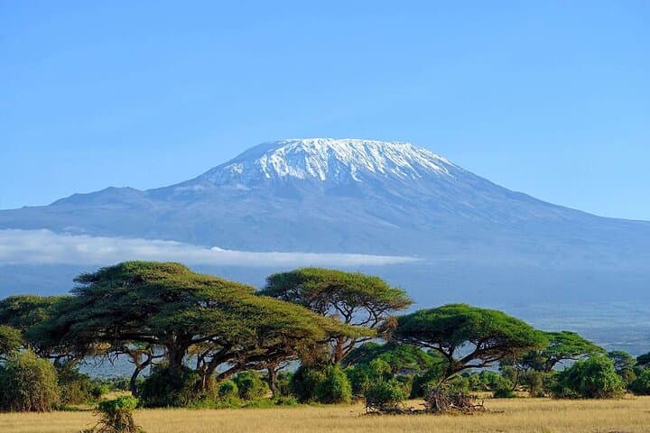 Full Day, Small Group Guided Tour to Amboseli National Park