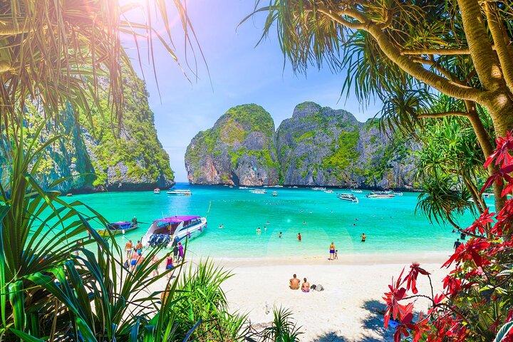 Premium Phi Phi, Maya Bay, Bamboo islands tour Speed Catamaran