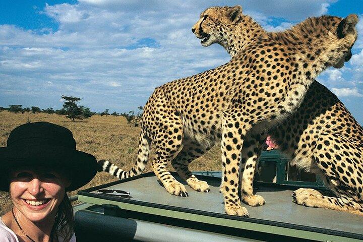 7Days Aberdares, Samburu, Lago Nakuru e Masai Mara Safari Privado
