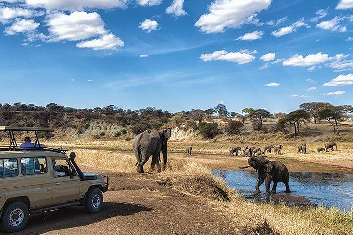 14 dage Kenya og Tanzania Big 5 Wildlife Safari fra Nairobi