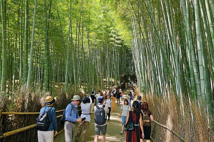 Kyotos Arashiyama-Bambushain: 3-stündige Führung