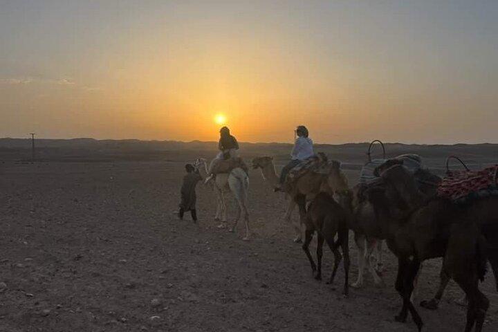 Agafay Desert: Excursion Camel Ride, dinner and Show