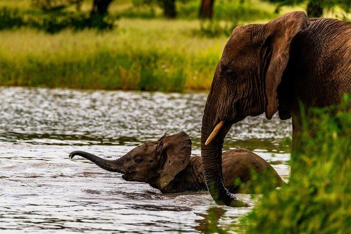 4-Day Group Safari to Tarangire, Serengeti & Ngorongoro Crater