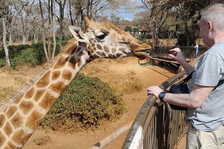 ナイロビのキリンセンターと象の孤児院ガイドツアー。