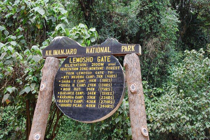 8 dagars Kilimanjaro Lemosho-klättring