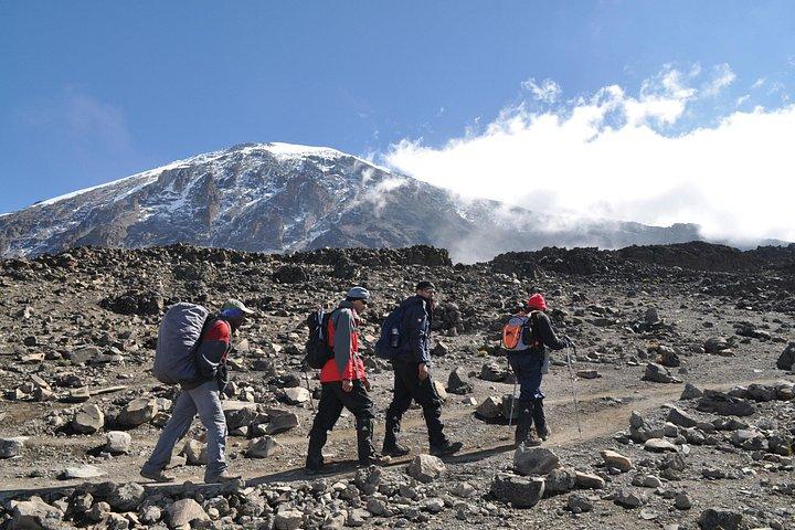8 Day Kilimanjaro Lemosho Climb