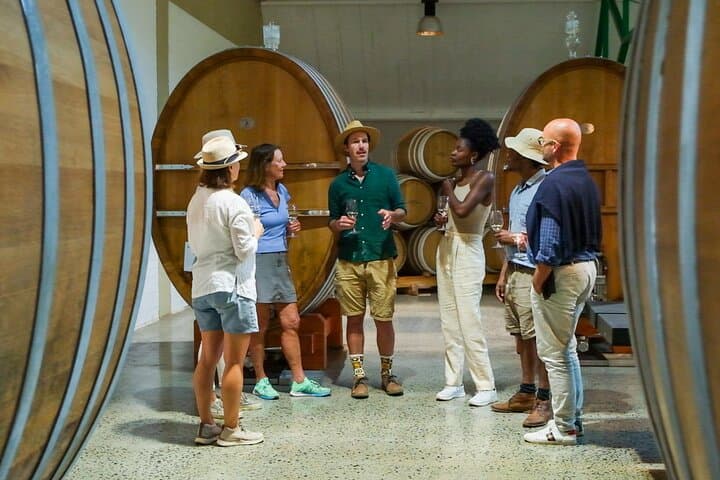 Constantia Wine and Storytelling Tour with Lunch From Cape Town
