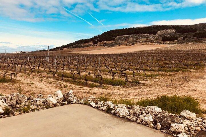 Transporte Privado a Ribera del Duero en Minivan