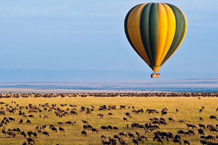 Tour privato di 3 giorni nel Maasai Mara con veicolo 4 * 4