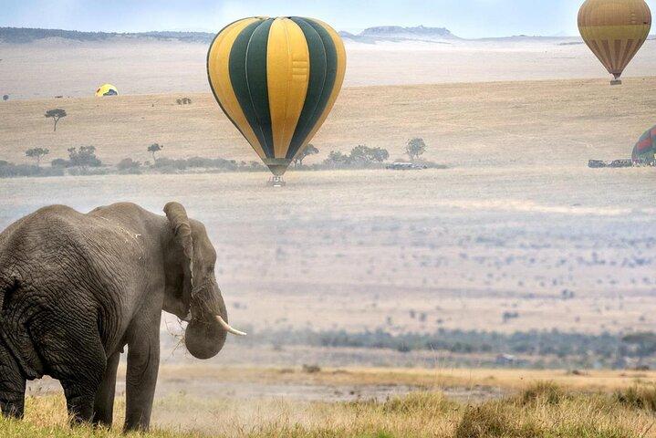 Tour privato di 3 giorni nel Maasai Mara con veicolo 4 * 4