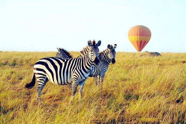 Tour privato di 3 giorni nel Maasai Mara con veicolo 4 * 4