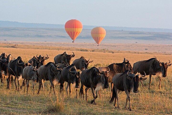 Tour privato di 3 giorni nel Maasai Mara con veicolo 4 * 4