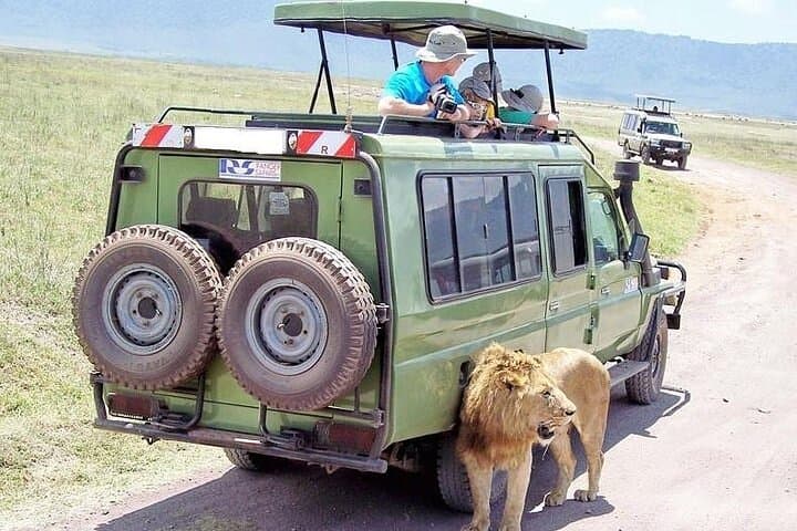 Three Day Thrilling Masai Mara Jeep Safari Spectacle