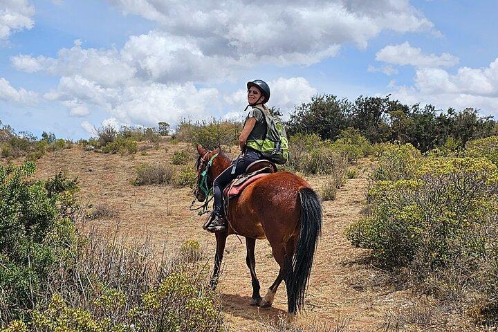 Vallée sacrée : Excursion à cheval de 3 heures au lagon Huaypo