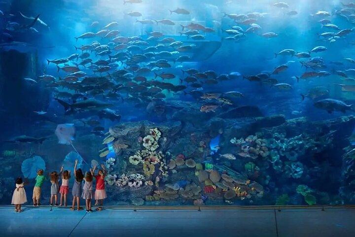 Burj Khalifa an der Spitze und Unterwasserzoo-Tour mit Transfer