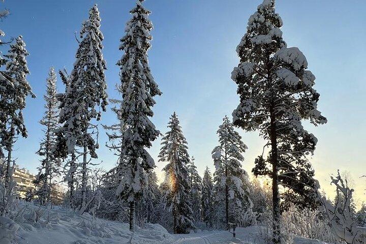 Top van Oslo Sneeuwschoen Tour