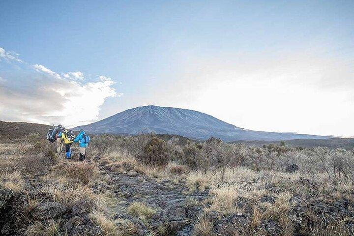 キリマンジャロ登山～マチャメルート