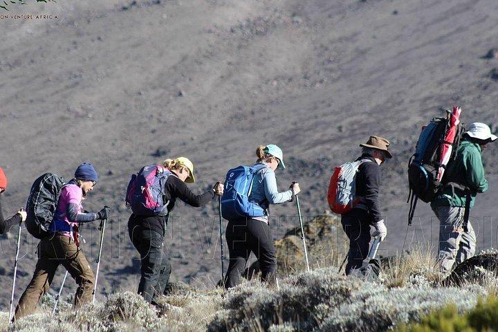 キリマンジャロ登山～マチャメルート
