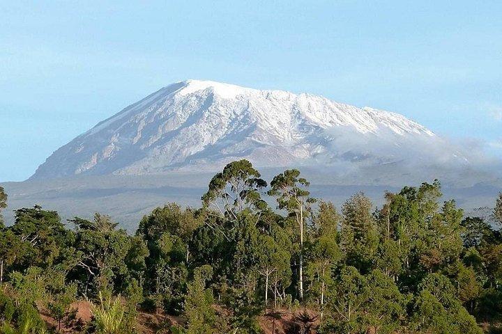 キリマンジャロ登山～マチャメルート