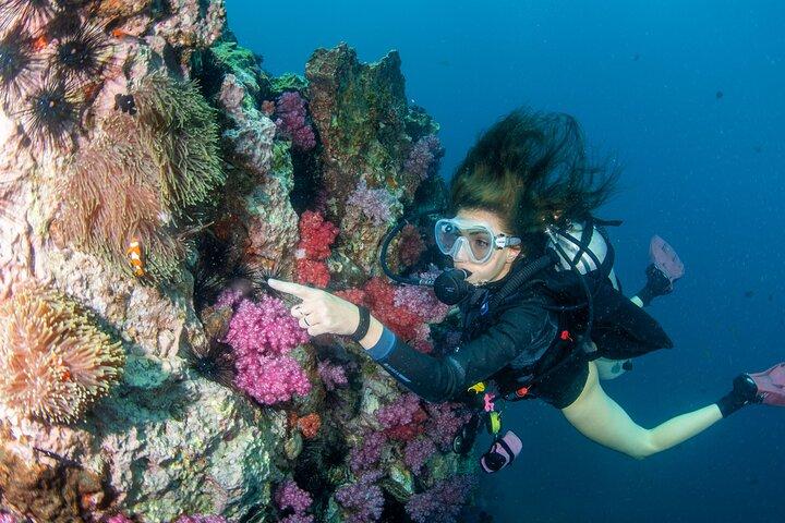 Excursion d'une journée à Racha Yai Island