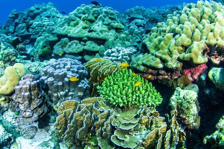 Excursion d'une journée à Racha Yai Island