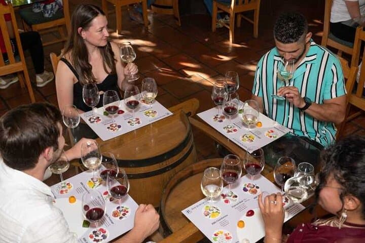 Wine Tasting in Constantia Region Cape Town