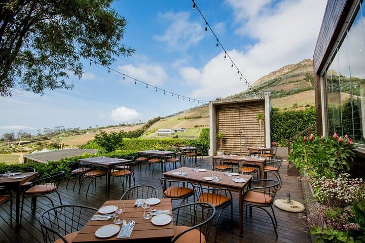 Wine Tasting in Constantia Region Cape Town