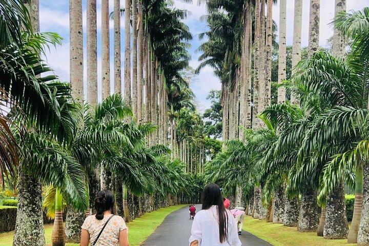 Kandy City Tour-ervaring vanuit Kandy