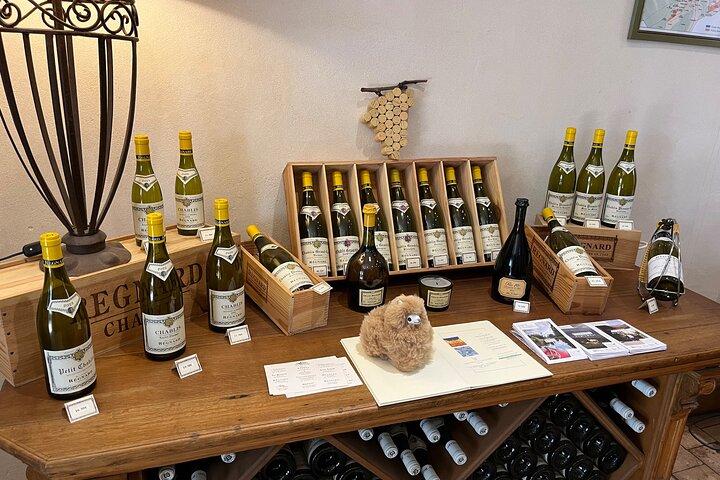 Dégustation de vins et fromages de Bourgogne Excursion privée d'une journée 15 verres