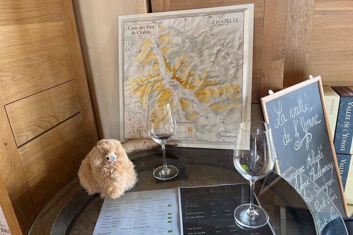 Dégustation de vins et fromages de Bourgogne Excursion privée d'une journée 15 verres