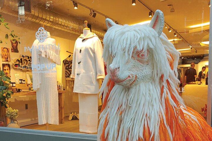 Privat New York City SoHo Boutique Shopping Tour