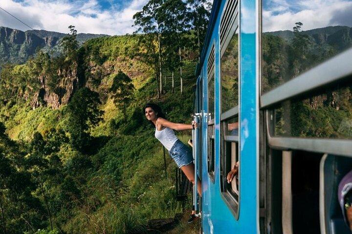 列車でキャンディからヌワラエリヤへ ヌワラエリヤ市内ツアーとエラをドロップ