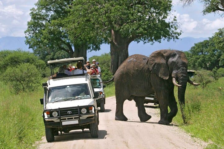 15 Days Kenya Wilderness Gateway With Diani Beach Holiday
