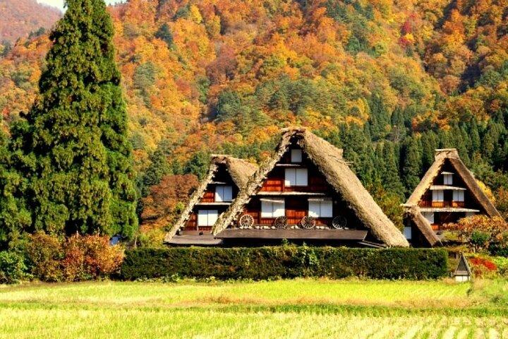 Excursion d'une journée à Shirakawago, Takayama et Gujo Hachiman au départ de Nagoya