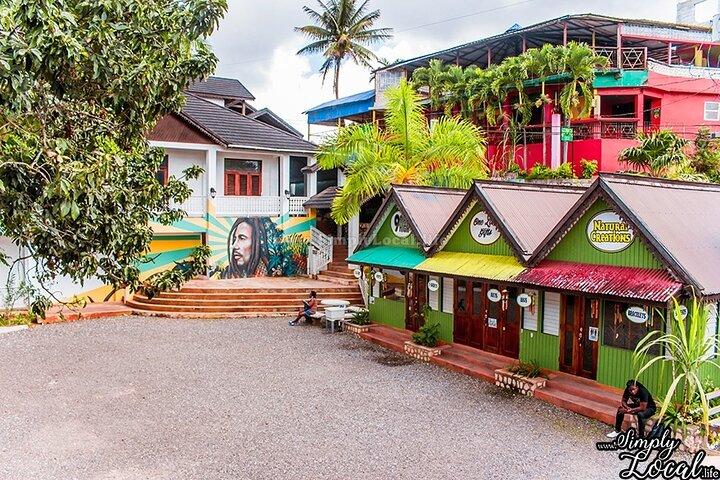 Private Tour Day-Trip Nile mile Bob Marley House With Admission