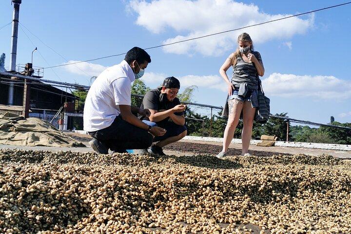 Ruta de las Flores y Café: Tour Privado por los Pueblos Vivos