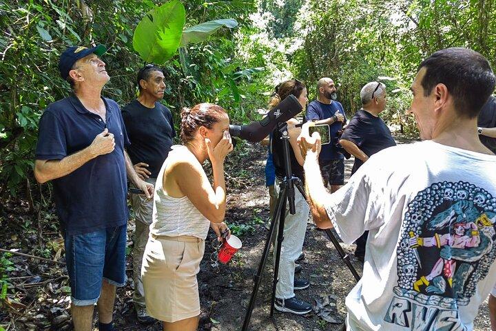 Parc national Manuel Antonio : Visite guidée avec entrée incluse