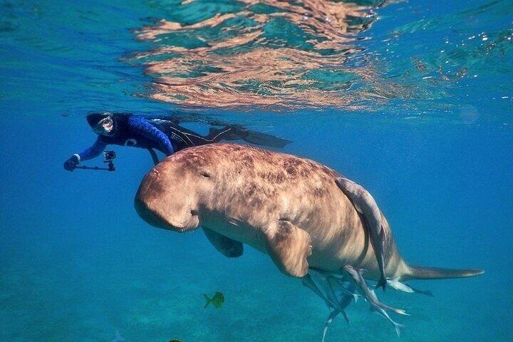 Expedição de Mergulho Marsa Alam