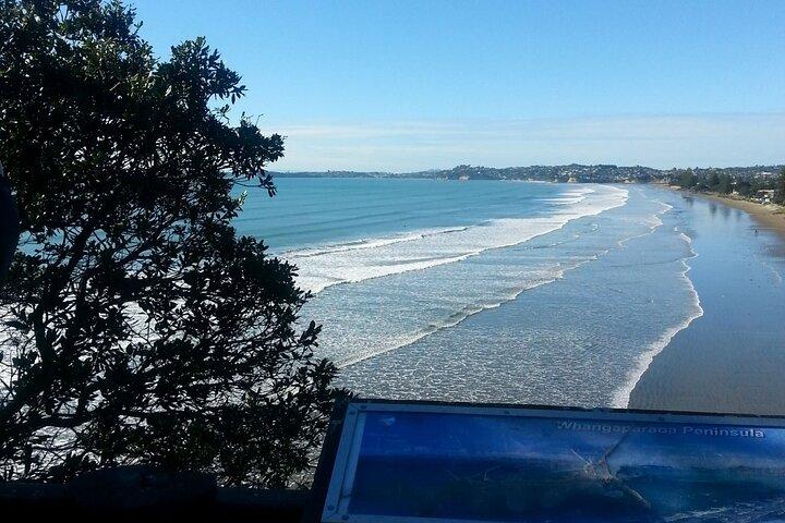 Visite privée de la côte nord-est d'Auckland