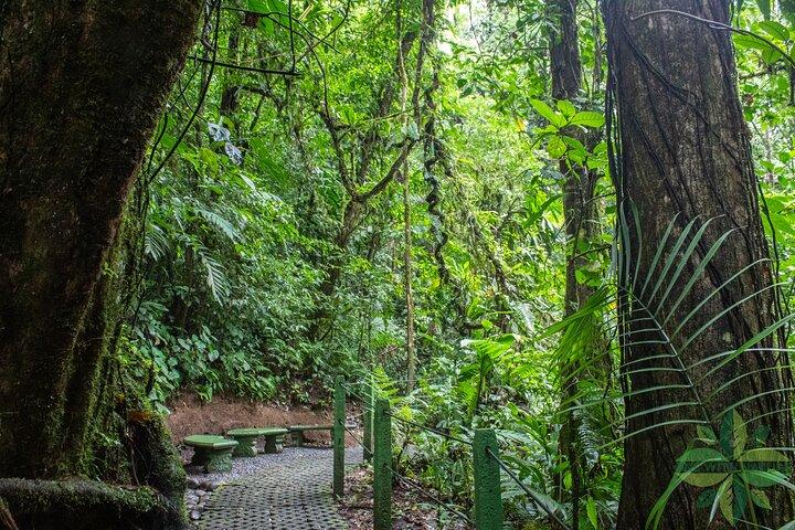 La Fortunas 3 Essentials Private Tour