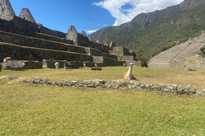 Tour a Machu Picchu de 1 día desde Cusco