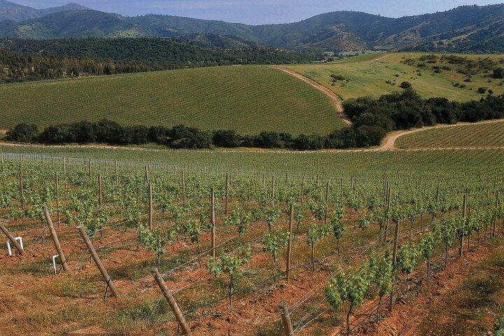 Privat Casablanca Valley De Luxe-vintur