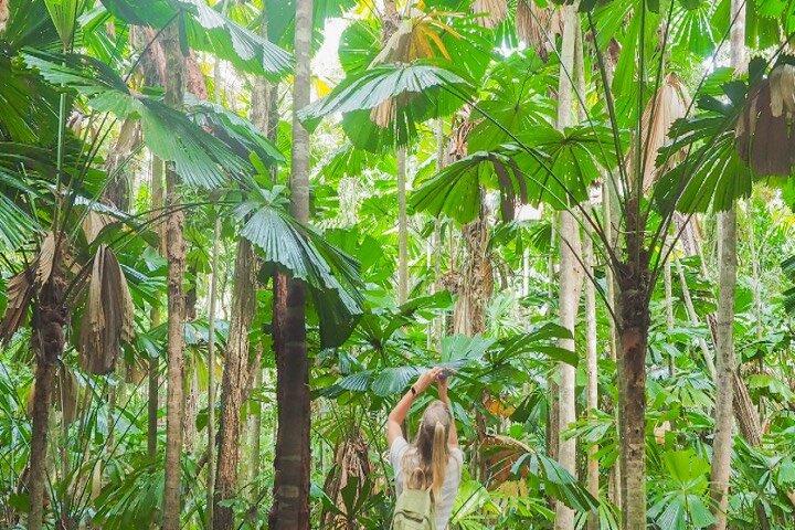 Cape Tribulation en Daintree Wilderness-dagtour in Cairns