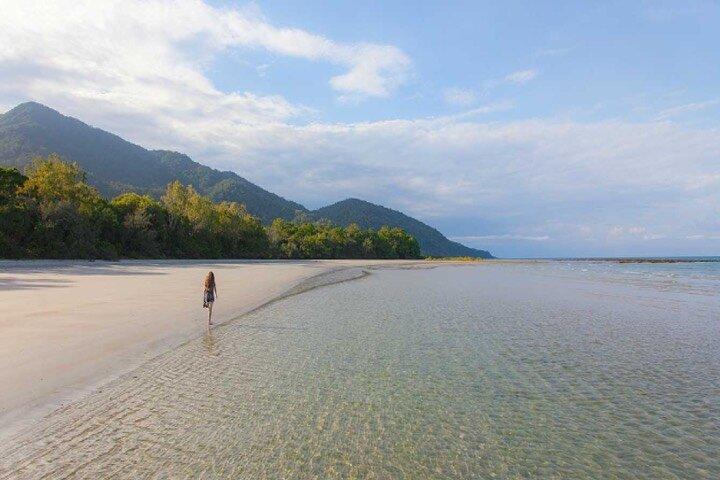 Cape Tribulation og Daintree Wilderness Day Tour i Cairns