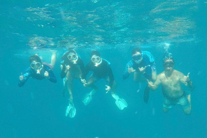 Waikiki lille gruppe skildpadde snorkling og sejlads